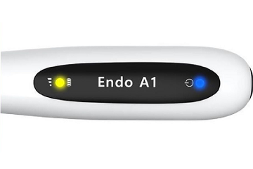 Endo A1