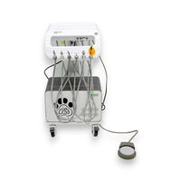 BL-610 PRO — ветеринарная стоматологическая установка