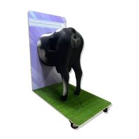 Тренажер «Ректальный осмотр и искусственное осеменение КРС»