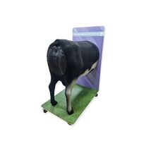 Тренажер родовспоможения КРС