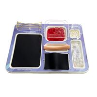 Тренажерный модуль «Отработка хирургических навыков в ветеринарии»