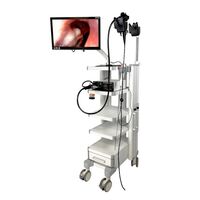 SuperVet Full HD с гибким эндоскопом — ветеринарная видеоэндоскопическая Full HD-система