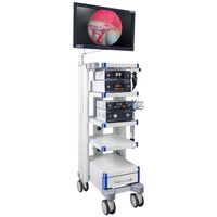 SuperVet Full HD с жестким эндоскопом — ветеринарная видеоэндоскопическая Full HD-система