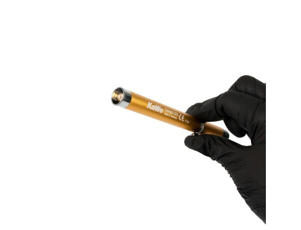 CLIPLIGHT LED — диагностический фонарик, желтый, арт.12.05401.054