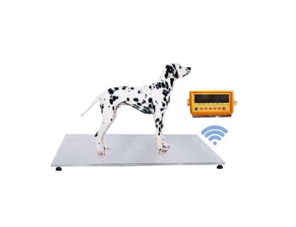TTPS-59WB — напольные весы для животных c Bluetooth, от сети, 50х90 см, до 300 кг