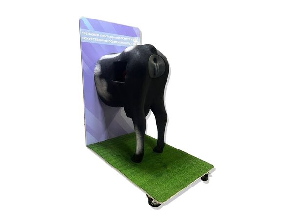 Тренажер «Ректальный осмотр и искусственное осеменение КРС»