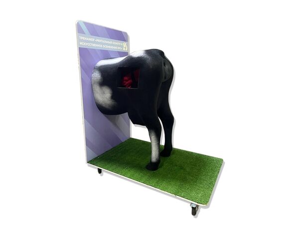 Тренажер «Ректальный осмотр и искусственное осеменение КРС»