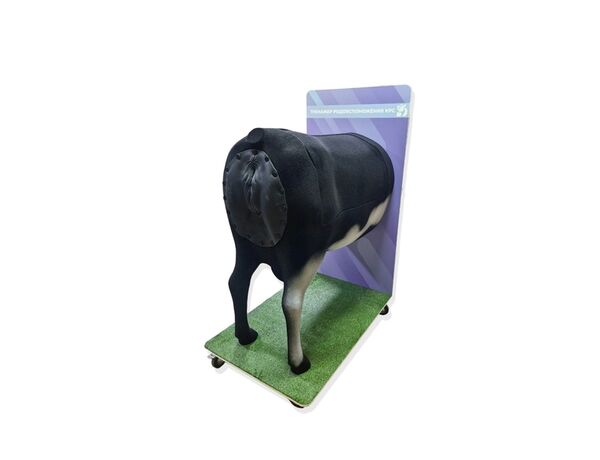 Тренажер родовспоможения КРС