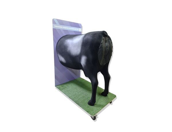 Тренажер родовспоможения КРС