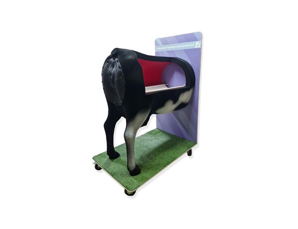 Тренажер родовспоможения КРС