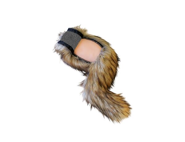 Модель задней лапы собаки с переломом бедренной кости