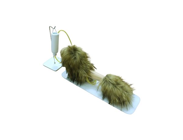 Тренажер левой грудной конечности собаки для отработки навыков внутривенных и внутримышечных инъекций