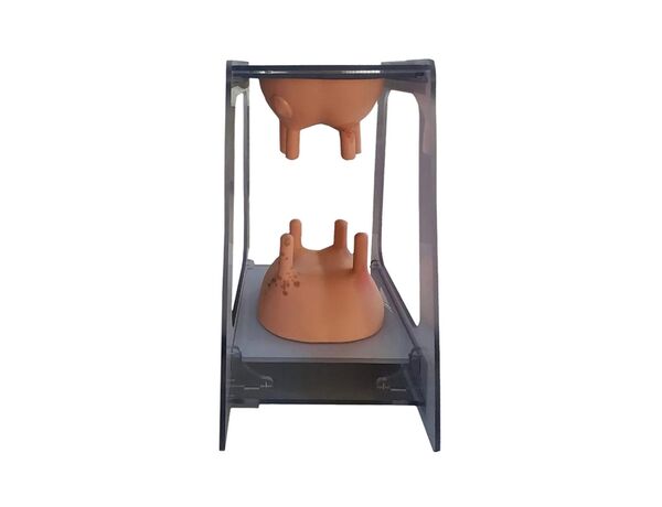 Тренажер патологии вымени КРС