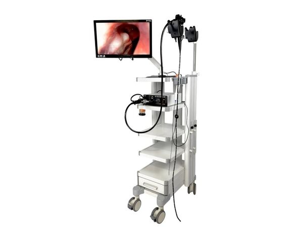 SuperVet Full HD с гибким эндоскопом — ветеринарная видеоэндоскопическая Full HD-система