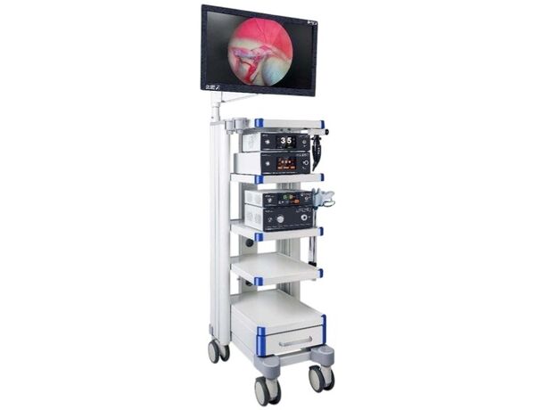 SuperVet Full HD с жестким эндоскопом — ветеринарная видеоэндоскопическая Full HD-система